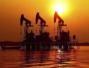 制裁將至 最先認(rèn)輸?shù)牟皇且晾?美松口 中國等8個(gè)國家不受約束