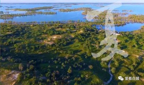 大美白城 誰不說俺家鄉(xiāng)好 榮獲亞洲大獎(jiǎng)