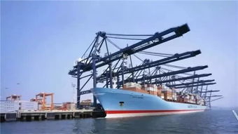 柬埔寨西港 海的那邊,一個(gè)土豪城市正在崛起