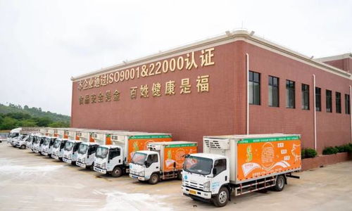 廣東羅定天溪冷鏈物流產(chǎn)地倉(cāng)一期項(xiàng)目正式動(dòng)工，助力海淘物流升級(jí)