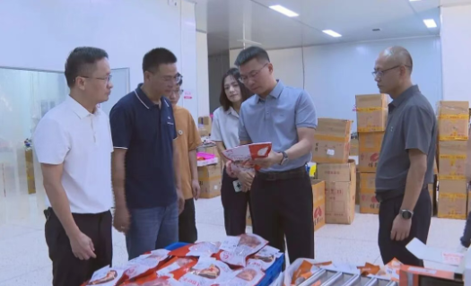 縣長調研電商及口岸經(jīng)濟工作，聚焦海淘物流發(fā)展新路徑